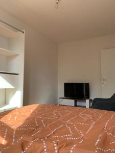 a bedroom with a bed and a flat screen tv at Chambre à louer dans appartement in Brétigny-sur-Orge