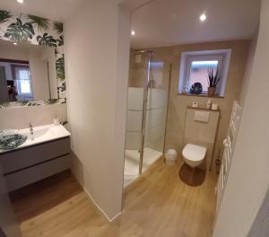 a bathroom with a shower and a sink and a toilet at Maison d'Hôtes "L'ORIGINALE" in Niederbronn