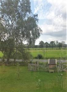 a park with a bench and a tree and a fence at Unieke trekkershut in Zelhem