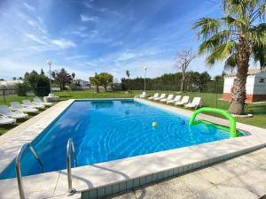 a swimming pool with chairs and a palm tree at VILLA LÚA in Cartaya