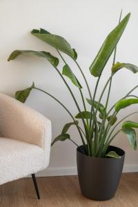 Gallery image of Splendide villa proche de Colmar in Bischwihr +45 photos