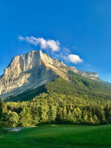 a mountain in the middle of a green field at chambre au calme in Saint-Jean-dʼArvey