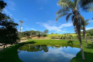 uma palmeira e um lago num campo de golfe em Fazenda com 2 casas independentes - 10 suítes com PISCINA ou 4 suítes com JACUZZI - Churrasqueira Wi-Fi 400MB Lagos Cavalos e indicação Cozinheira em Pedra Bela
