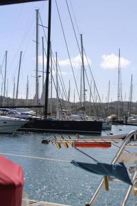 a group of boats docked in a harbor at Cabine d'un catamaran privatisé in Le Marin