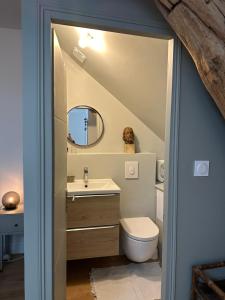 ein Badezimmer mit einem WC, einem Waschbecken und einem Spiegel in der Unterkunft La cour fleurie in Neuville-aux-Bois