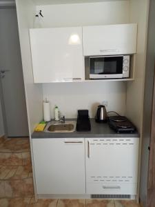 Η κουζίνα ή μικρή κουζίνα στο Mini Apartamenty Centrum