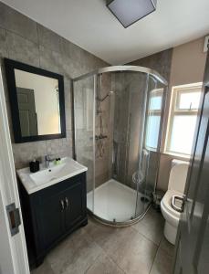 a bathroom with a shower and a sink at Maynooth Serviced Studios in Maynooth