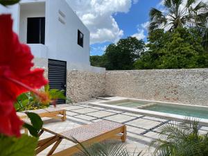 een patio met een zwembad en een huis bij LELÁA A NAJ in Mérida