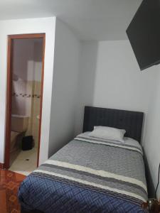 a bedroom with a bed and a bathroom with a shower at HOSPEDAJE EL ARCO in Ayacucho