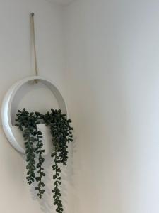 eine grüne Pflanze in einem weißen Topf an einer Wand in der Unterkunft Central Cambridge Apartments by Tas in Cambridge