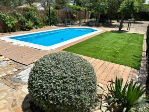 - une petite piscine dans une cour avec une pelouse dans l'établissement Vivienda de Uso Turístico "La Era", à Totanés