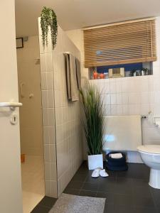 a bathroom with a toilet and a plant in it at Privatwohnung mit Terrasse zum Relaxen in Lennestadt