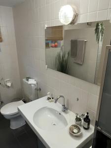 ein Badezimmer mit einem Waschbecken, einem WC und einem Spiegel in der Unterkunft Privatwohnung mit Terrasse zum Relaxen in Lennestadt