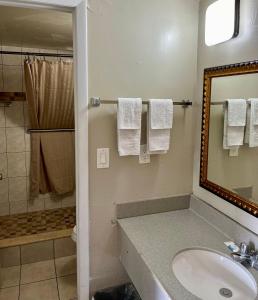 a bathroom with a sink and a mirror and a shower at Budget Inn in Punta Gorda