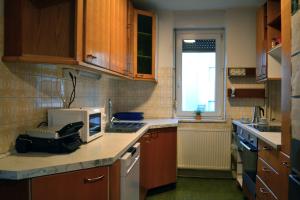 een keuken met een aanrecht met een magnetron bij Gorazdova Guest House in Ljubljana