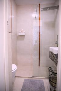 a bathroom with a shower and a toilet and a sink at Nicolae Balcescu Dream House in Bucharest