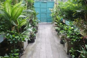 Photo de la galerie de l'établissement Eco House, à Bangkok