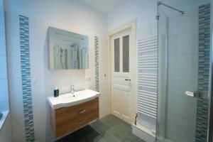 La salle de bains est pourvue d'un lavabo, d'une douche et d'un miroir. dans l'établissement Charles & Kätchen Design Zentrum, à Leipzig