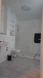 La salle de bains est pourvue d'une douche, de toilettes et d'un lavabo. dans l'établissement Ökohaus Spaden, à Schiffdorf