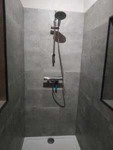 a shower with a shower head in a bathroom at L'île d'Amélie in Ciney