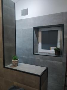 西內的住宿－L'île d'Amélie，浴室设有镜子和植物桌子