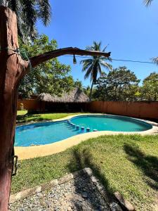 a swimming pool in a yard with a palm tree at Hotel Costa Mar in Troncones