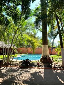 a swimming pool with palm trees in a yard at Hotel Costa Mar in Troncones