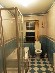 a bathroom with a toilet and a sink and a shower at Kiltubber House in Kinnegad