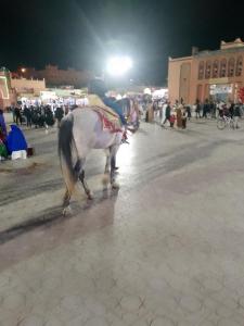 een persoon die 's nachts op een paard op straat rijdt bij Hotel Des voyageur in Ouarzazate