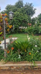 a garden with a lamp post and flowers at Ayonthoo! in Lilongwe