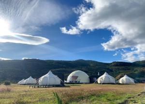 a group of tents in a field with mountains in the background at Chilenativo Riverside Camp in Torres del Paine