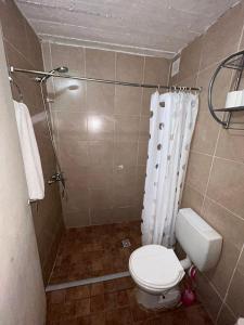 y baño pequeño con aseo y ducha. en La Casa de Petro en Córdoba