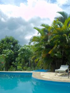 een bank naast een palmboom naast een zwembad bij Sítio Primavera in Ipueiras