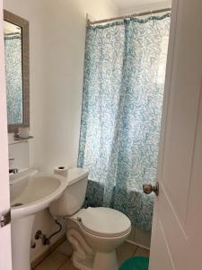 a bathroom with a toilet and a sink and a shower curtain at Amplia Casa 8 dormitorios 4 baños Avenida Lircay in Talca