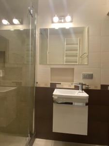 a bathroom with a sink and a shower at Apartament Bella in Międzyzdroje