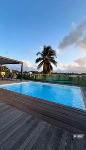 una piscina en una terraza con una palmera en Joli appartement cosy avec piscine, en Les Abymes