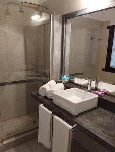 a bathroom with a sink and a shower at Posada La Casona in Mar de las Pampas