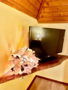 uma flor num ramo com uma televisão na parede em Marta Guest House em Gyenesdiás