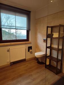 łazienka z toaletą, oknem i drabiną w obiekcie Chata Santa Claus - Rudolf GÓRY SOWIE w mieście Sokolec