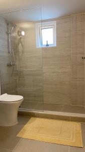 a bathroom with a shower and a toilet and a window at T&L Apartments Agiaos Tychonas in Limassol