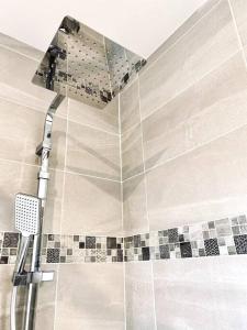 a bathroom with a shower with a shower head at Appartement Cosy centre-ville in Ribérac