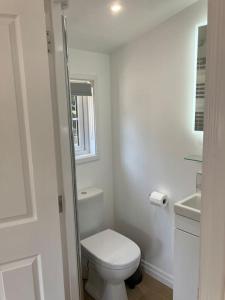 ein weißes Bad mit einem WC und einem Waschbecken in der Unterkunft The Cabin in Lisburn