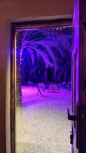 una puerta abierta con luces púrpuras en una habitación en Mezorin Camp, en Siwa