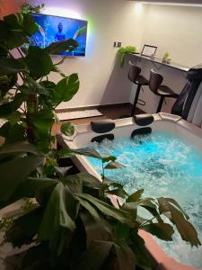 Swimming pool sa o malapit sa SPAYA JACUZZI centrum apartment - with home cinema & private parking
