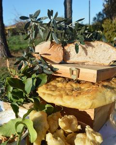 eine Vorstellung von Brot und ein Buch auf dem Tisch in der Unterkunft Villa Orta - Agriturismo con cucina Vegan, Plant-based Farmhouse in Riotorto