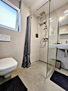 a bathroom with a shower and a toilet and a sink at Lions Place Premium Apartments BUSINESS optionaler Zugang zum SPA- Bereich in Heidenheim