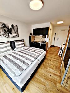 1 dormitorio con 1 cama grande y TV en Lions Place Premium Apartments BUSINESS optionaler Zugang zum SPA- Bereich, en Heidenheim an der Brenz