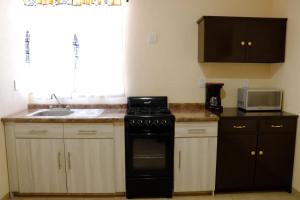 una cucina con piano cottura nero e lavandino di Sensity Home Apartamento hermoso y centrico a Tehuacán