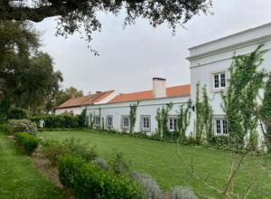 ein großes weißes Haus mit einem grünen Hof in der Unterkunft Herdade de Santa Maria in Almeirim