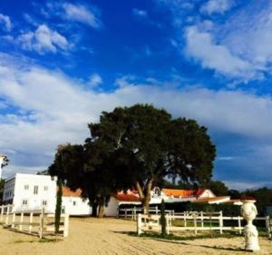 Afbeelding uit fotogalerij van Herdade de Santa Maria in Almeirim